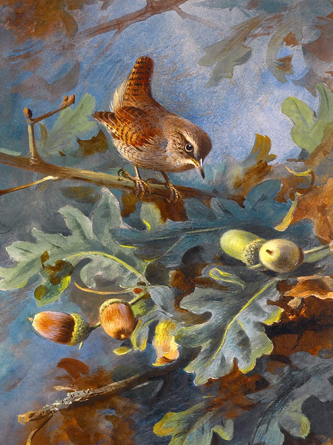 Wren by A. Thorburn Bird Oak Acorns Tile Mural Kitchen Wall Backsplash Ceramic