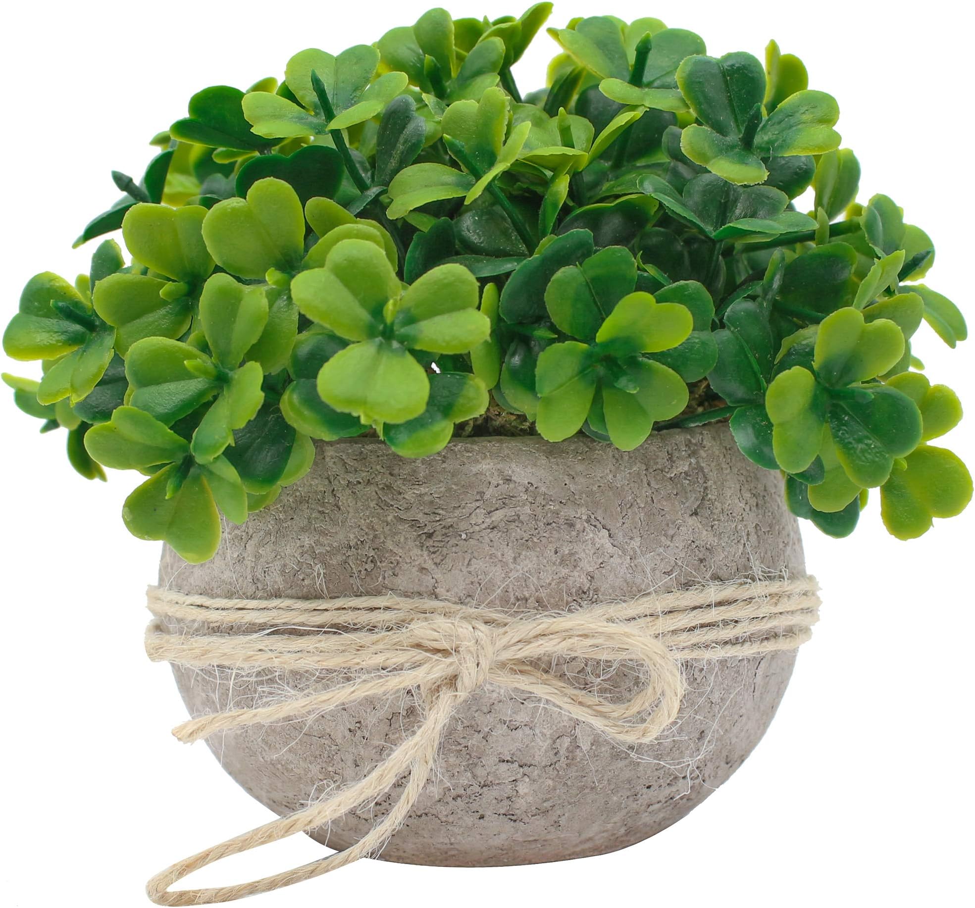 Ezra Decorative Plants Single Piece Artificial Potted Plants – Mini Plants Farmhouse Decorations – No Water, Low Maintenance – Highly Realistic Design – Ideal for Bathroom, Office, Home (Single)