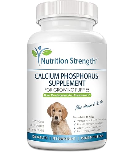 Zinc Supplement For Dogs NutriVed Calcium Supplements For Dogs