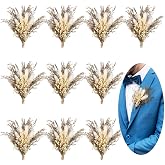 Fabbay 10 Pcs Fall Boho Dried Flower Boutonniere for Men Wedding Decor | Mini Wedding Dried Flower Bouquet, Rustic Pocket Boutonniere, for Groomsmen Groom, Ceremony Anniversary Dinner Party Decor