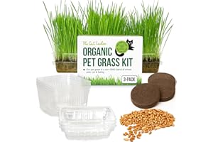 The Cat Ladies Cat Grass for Indoor Cats - Growing Kit - Organic Cat Grass Seeds, Soil and BPA Free Containers (Non GMO) - Locally Sourced Seeds! (3 Pack)