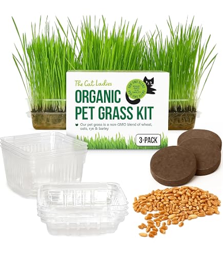 Boîte De Culture Hydroponique Pour Herbe à Chat - Bac Plastique 18.2x11.8x4 Cm - Plateau Amovible, Facile à Nettoyer - Pour Chats D'intérieur - 11