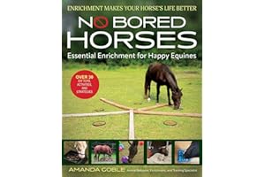 No Bored Horses: Essential Enrichment for Happy Equines