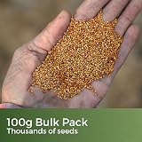 Garden Lawncare Guy Tortoise Grass Seed and Forage Mix 100g - Fast Growing view 3