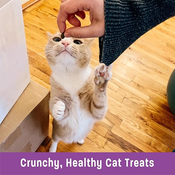 WELLNESS KITTLES CRUNCHY NATURAL GRAIN FREE CAT TREATS, SALMON & CRANBERRIES RECIPE, ALL LIFE STAGES, 2-OUNCE BAG