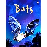 Bats (Beginners)