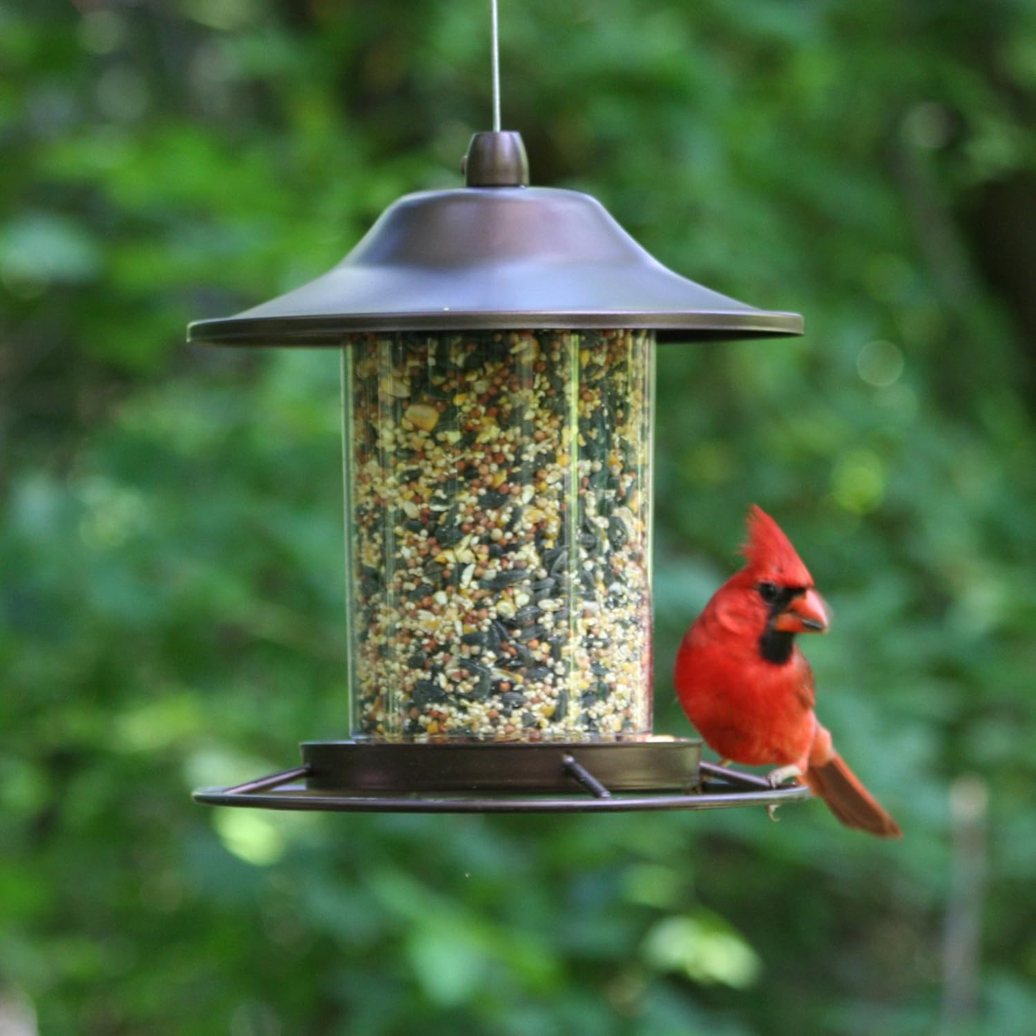 Perky-Pet 312 Panorama Bird Feeder, 2 lbs, Brown : Wild Bird Feeders : Garden & Outdoor