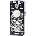 Sondery Digital Delay Pedal with 3 Effects - Echo Modulation and Normal, Mini Effect Pedal for Electric Guitars True Bypass, Art Design Series