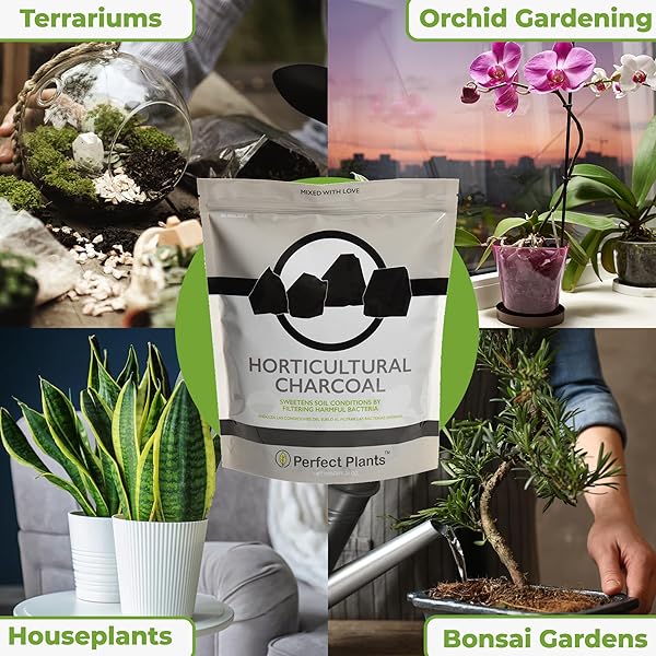 HORTICULTURAL CHARCOAL BY PERFECT PLANTS -4QTS OF PLANT CHARCOAL – NATURALLY CLEANSES, FLUSHES TOXINS AND EXCESS MOISTURE FROM CONTAINERS AND TERRARIUMS