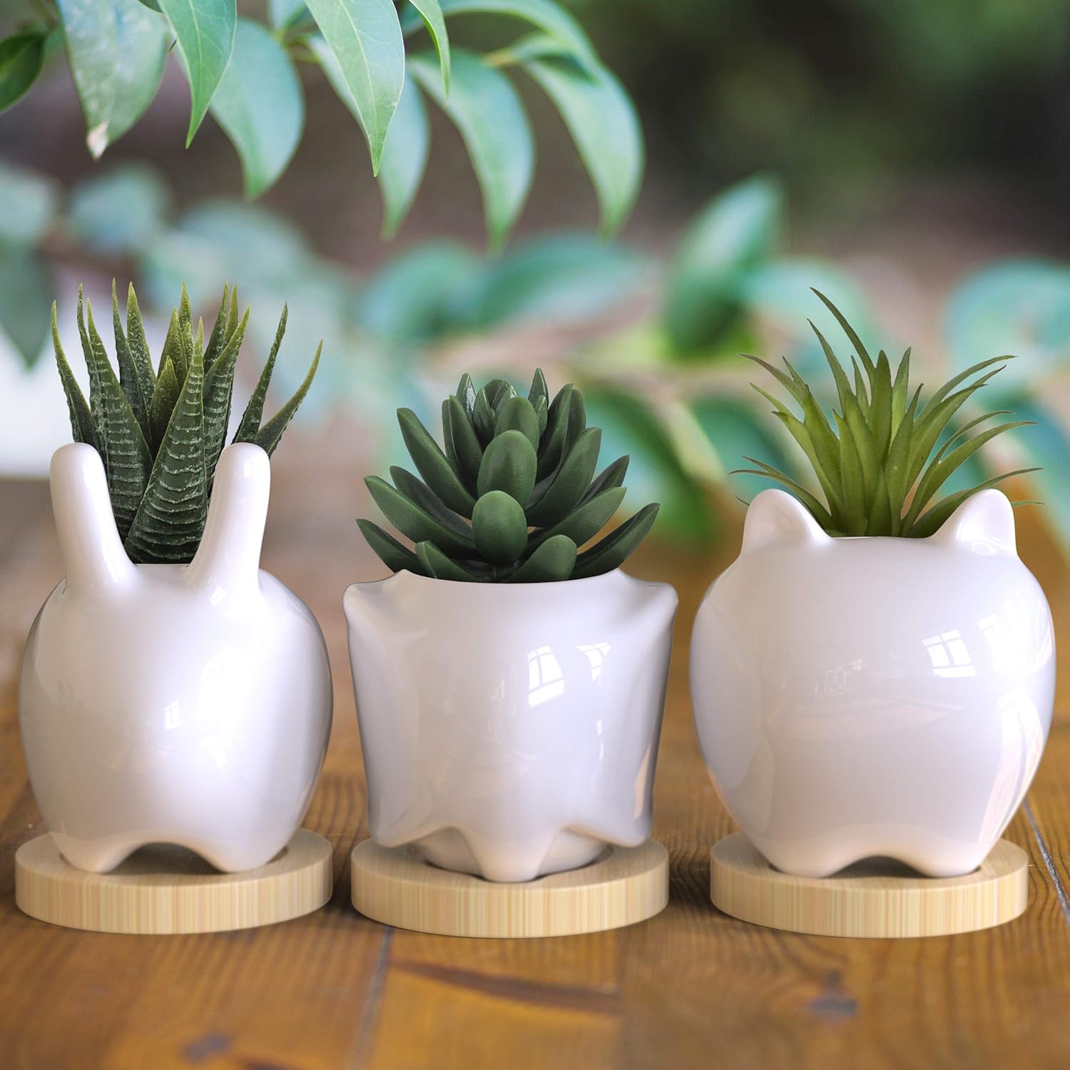 IVORMOSS Animal Succulent Planter - White Ceramic Garden Pots with Insert to Prevent Soil Loss, Drainage Opening & Bamboo Tray - Cute Elephant Bunny & Cat Planter Set, Macetas para Suculentas: Kitchen & Dining