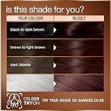 Garnier GOOD Permanent Hair Dye Premium Starter Kit 4.15 Iced Chestnut Brown view 4