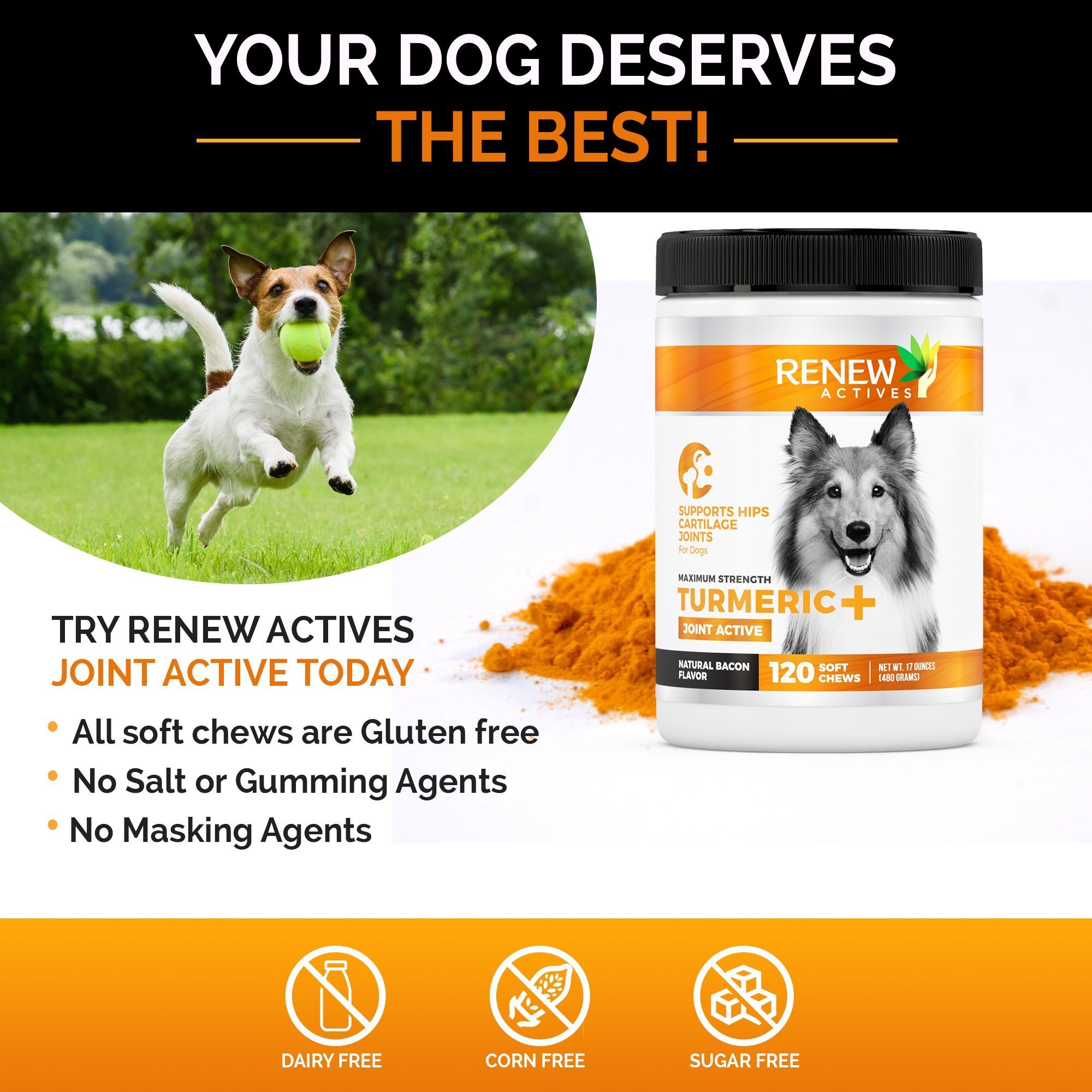 Dog Joint Pain Support Supplement Renew Actives Natural, Advanced