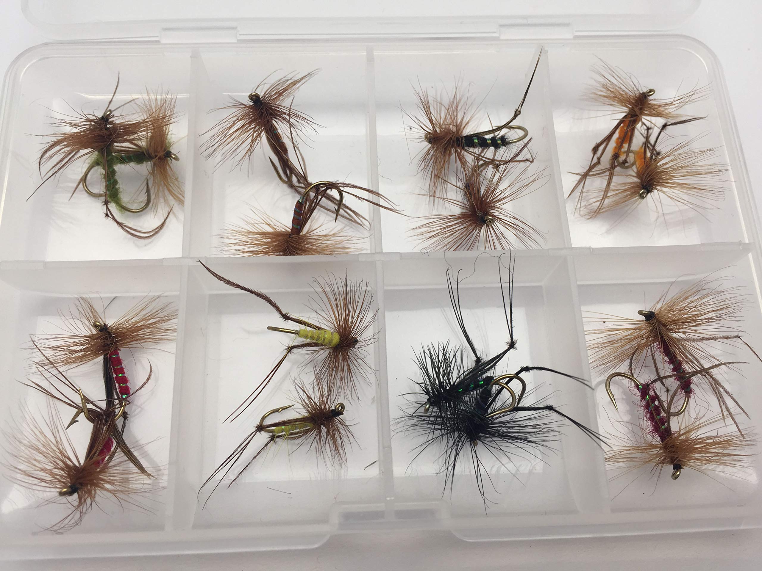 BestCity Fly Fishing Flies HOPPERS 16 Fly Selection + FREE BOX Size 12
