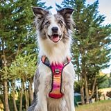 Embark Pets Urban Dog Harness No Pull Adjustable with Handle & Clips view 8