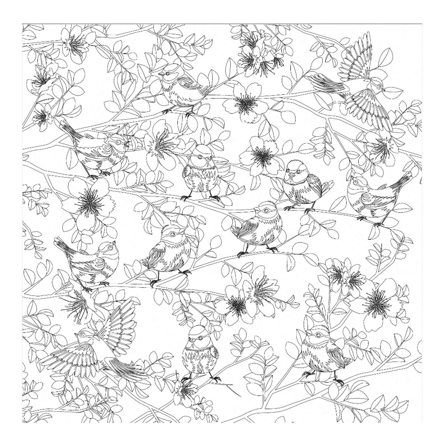 Honsell 12107 Stretcher Frame with Bird Motif, Size 30 x 30 cm, Pre-Printed Design for Colouring with Acrylic, Watercolour and Oil Paints and Felt and Crayons, White