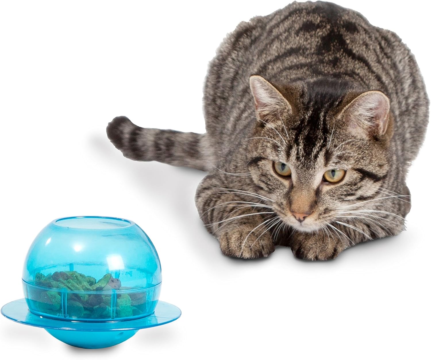 PetSafe Fishbowl Cat Feeder Toy, blue - Image 5