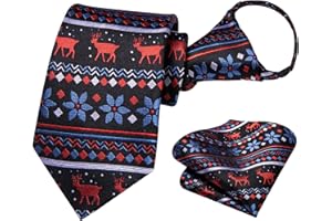 Dubulle Boys Christmas Zipper Ties Xmas Pretied Necktie for Boy and Pocket Square Age 8-12 Boys Party Festival