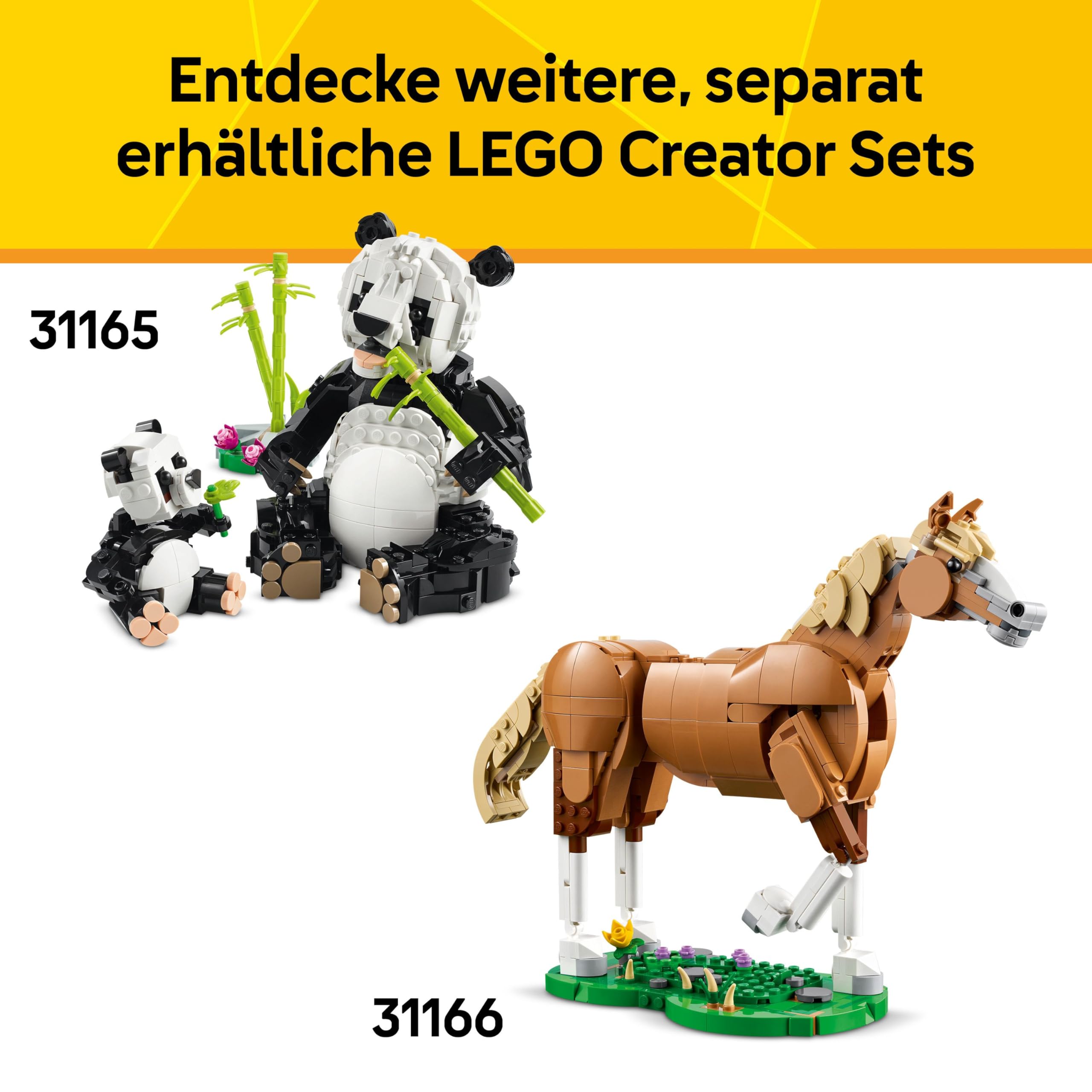 LEGO Creator Wilde Tiere: Tropischer Tukan - 3-in-1-Spiel Tier verwandelt Sich in Schmetterling Minifigur oder Fisch - Kreatives Spielzeug - Geschenk für Mädchen und Jungen ab 7 Jahren 31173 8