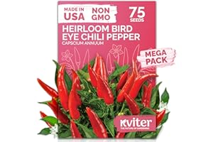 KVITER 75 Birds Eye Chili Pepper Seeds for Planting (Capsicum Annuum) — Thai Chili Red Pepper, Extra‑Hot 50K-100K SHU, High‑Yield Bush — Heirloom & Organic Vegetable Seeds for Outdoor & Indoor Garden