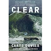 Clear: A Novel