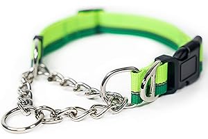 Mighty Paw Martingale Dog Collar 2.0 | Trainer Approved Limited Slip Collar with Stainless Steel Chain & Heavy Duty Buckle - Modified Cinch for Gentle & Effective Pet Training - Large, Green