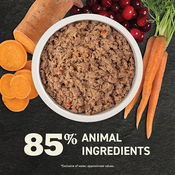 ACANA PREMIUM PATE IN BONE BROTH GRAIN-FREE WET DOG FOOD PUPPY RECIPE 12.8OZ CANS (12 COUNT)