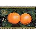 USPS Celebrating Lunar New Year (Chinese New Year)(Year of The Rabbit) Kumquats (Sheet of 12) Postage Forever Stamps 2011 Scott #4492