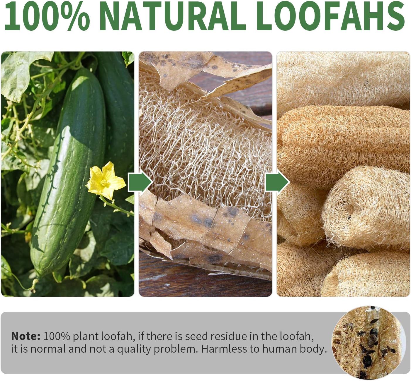 Natural Loofah Sponge Exfoliating Scrubber, Body Shower Bath Luffa Organic Exfoliator Men & Women, 100% Eco-Friendly Loofahs Brush Sponge: Health & Personal Care
