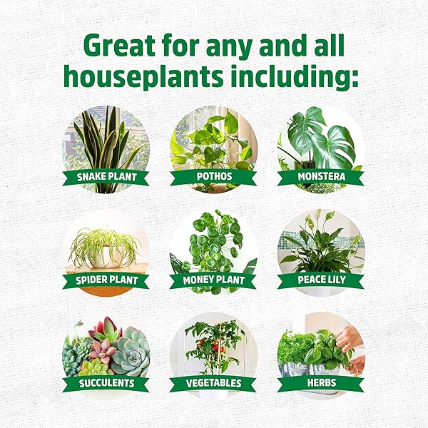 BACK TO THE ROOTS NATURAL & ORGANIC INDOOR PLANT FOOD (16OZ VALUE SIZE – 95 FEEDS!), GREAT FOR HOUSEPLANTS, LOW ODOR, VEGAN, EASY TO APPLY LIQUID FORMULA