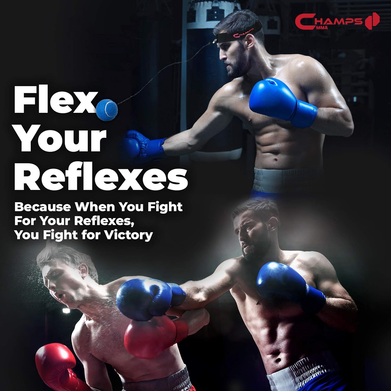 champs mma reflex ball