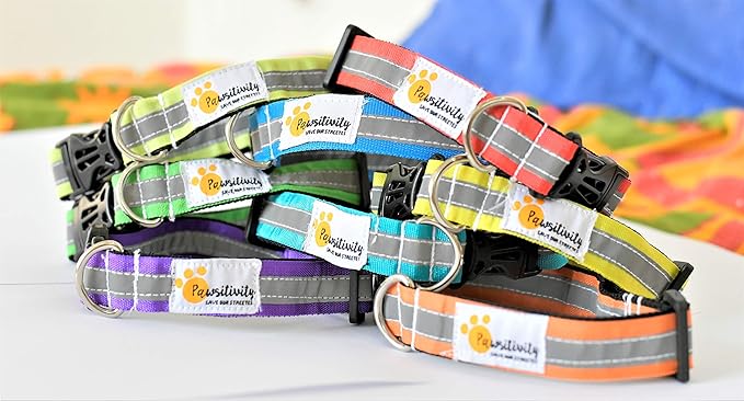 Reflective Dog Collars (Multicolour) - Set of 5