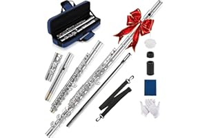 AKLOT Closed-Hole Concert C Flute: Flute Instrument with 16 Keys, Offset G, Smooth Nickel-Silver Keys, Air-Tight Pads, Include Stylish Case with Shoulder Strap, Cleaning Kit, Gloves (LUM-SN)