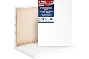 U.S. Art Supply 24 x 36 inch Stretched Canvas 12-Ounce Triple Primed, 3-Pack - Professional Artist Quality White Blank 3/4" Profile, 100% Cotton, Heavy-Weight Gesso - Acrylic Pouring, Oil Painting