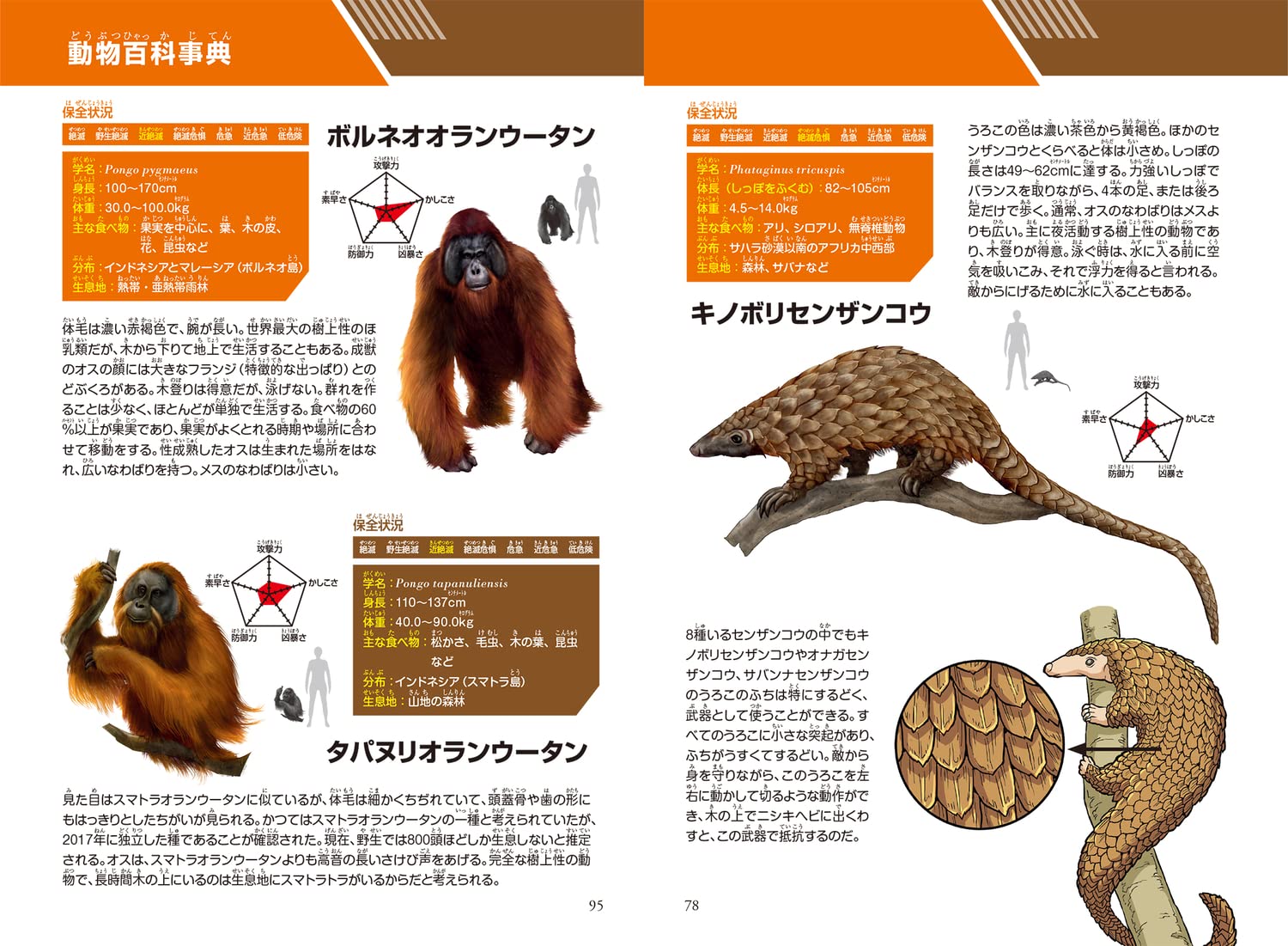 どっちが強い オランウータンvsセンザンコウ ジャングルの技あり対決 角川まんが科学シリーズ ジノ ブラックインクチーム ブラックインクチーム 成島 悦雄 本 通販 Amazon