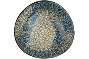 Homoyoyo Decorative Coconut Shell Key Storage Bowl Home Decor Key Container for Porch Entryway Blue Yellow