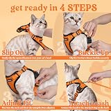 rabbitgoo Cat Harness and Lead Set XS Orange Reflective Adjustable Escape Proof view 8