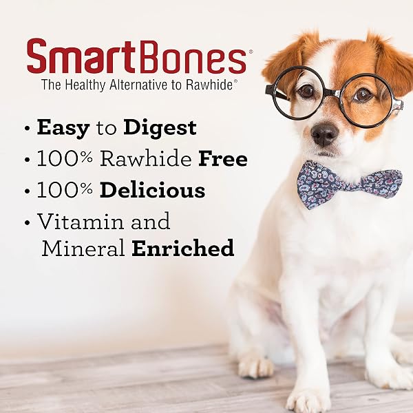 SMARTBONES SKIN AND COAT CARE STICKS 16 COUNT, RAWHIDE-FREE CHEWS FOR DOGS, WITH OMEGA FATTY ACIDS