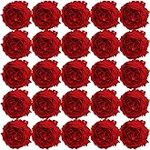 FagusHome 30 Pcs Silk Peony Artificial Flower Only Heads No Stems Fake Peony Flowers Heads Artificial Peony Flower Heads No Stems for Wedding Home Decor (Red)