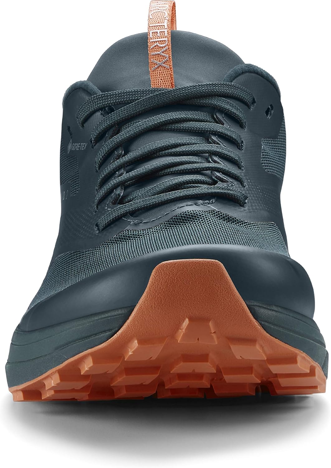 norvan ld 2 gtx shoe women's