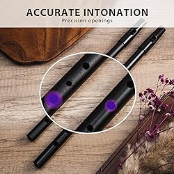 VixxNoxx Irish Tin Whistle Key of C, Penny Whistle