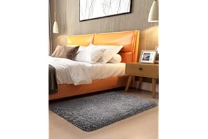 Ophanie 2x3 Small Rug Non Slip Throw Medium Gray Area Rugs, Fluffy Soft Carpet