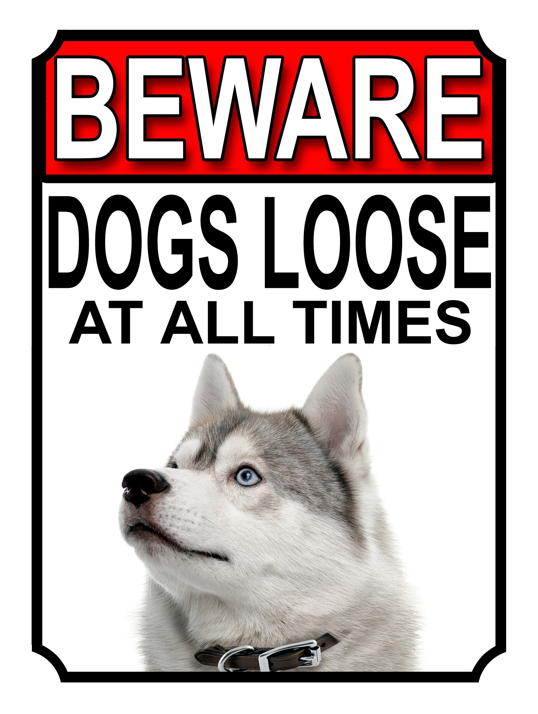 BEWARE DOGS LOOSE AT ALL TIMES METAL SIGN SIBERIAN HUSKEY 200MM X 150MM (1020H1) โ image 1