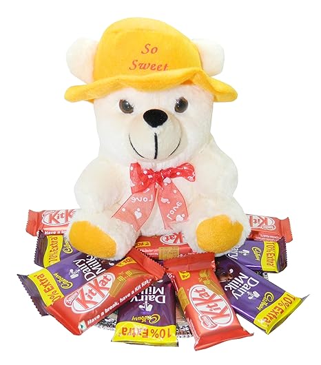 cute teddy bear with chocolate