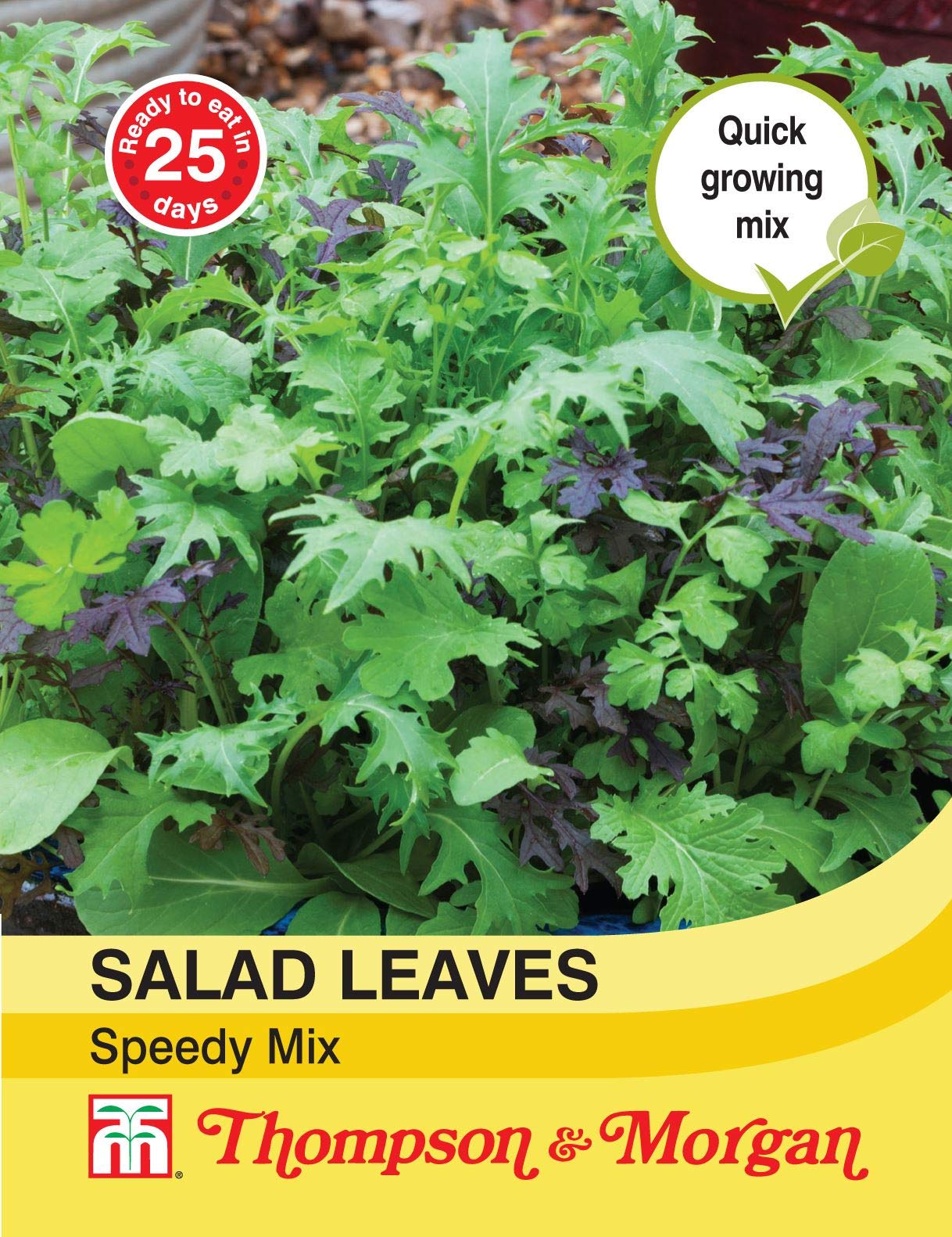 Thompson & Morgan - Vegetables - Salad Leaves - Speedy Mix - 500 Seed