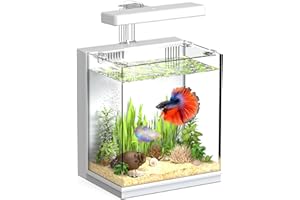 AQUASMITH 2-Gallon All-in-One Fish Tank – Silent Pump, 3-Stage Filtration & Easy Water Change, Perfect Self-Care Betta Aquari