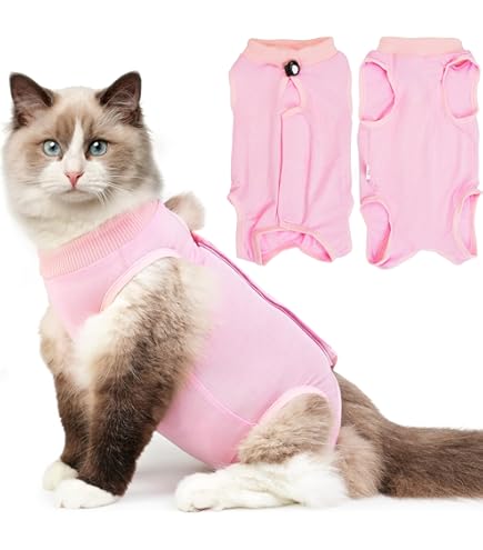 Amazon.com: Cat Recovery Suit for Male and Female Surgical Post