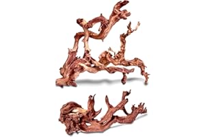 HEMYIS Natural Coral Driftwood for Aquarium Fish Tank Decor,Assorted Trunk Driftwood Branch for Reptile Decor (Coral Driftwood Medium (12 to15 Inch)-Pack of 2)