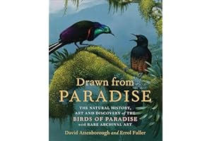 Drawn from Paradise: The Natural History, Art and Discovery of the Birds of Paradise with Rare Archival Art