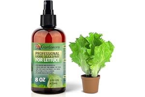 GARDENERA 𝐒𝐔𝐏𝐄𝐑𝐈𝐎𝐑 Liquid Silica Boost Fertilizer and Supplement Spray for Lettuce Plants – Pre-Mixed, Ready-to-Use Liquid Silicon Plant Superfood Mist for Indoor & Outdoor Plants – 8oz