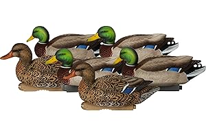 Avery PG XD Series Mallards-Active Pack (1/2 Dozen)